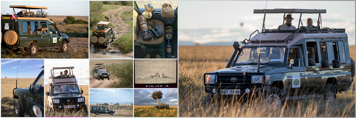 Auf Fotosafari im geschützten Rover durch Afrika
